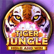 Quyền của người dùng về dữ liệu cá nhân theo chính sách 333win3