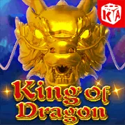 Tùy chọn trình duyệt để quản lý cookie trên 333win3