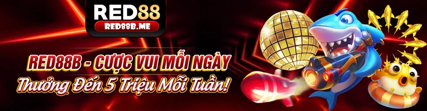 Hình ảnh minh họa về cá cược có trách nhiệm tại 333win3